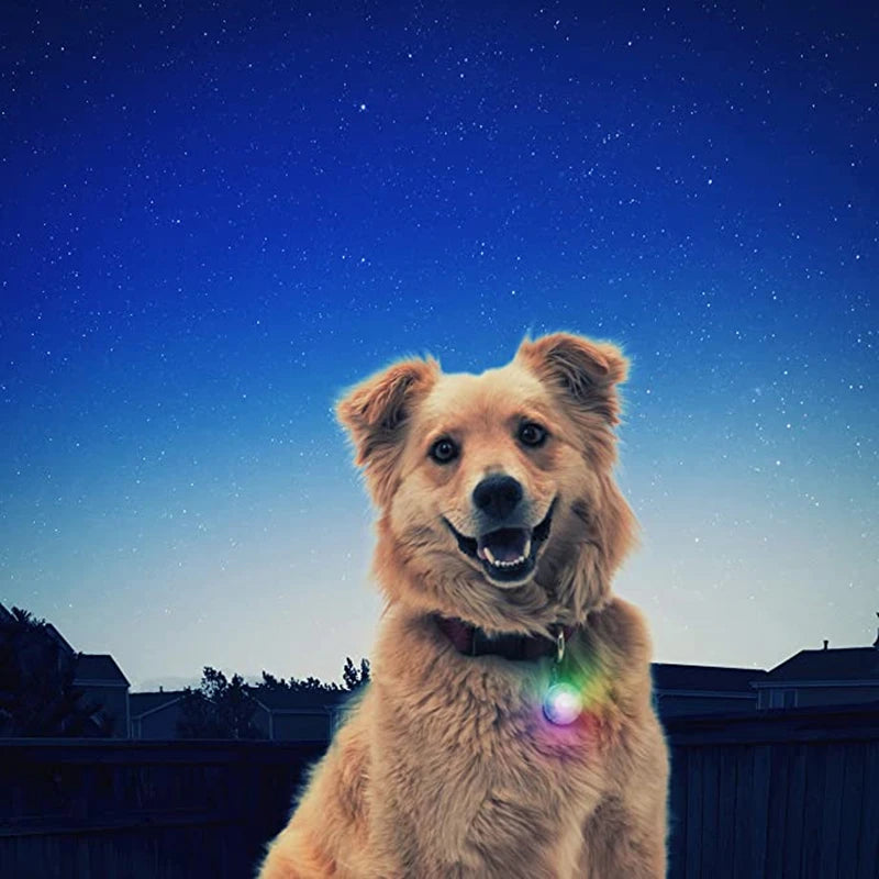 Luxury LED Dog Collar | USB Rechargeable Glow Light Safety Collar with Pendant