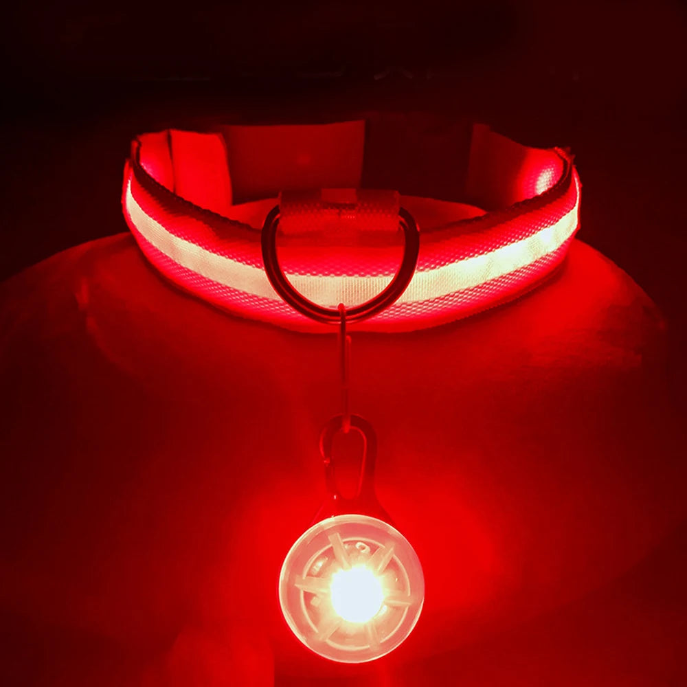 Luxury LED Dog Collar | USB Rechargeable Glow Light Safety Collar with Pendant