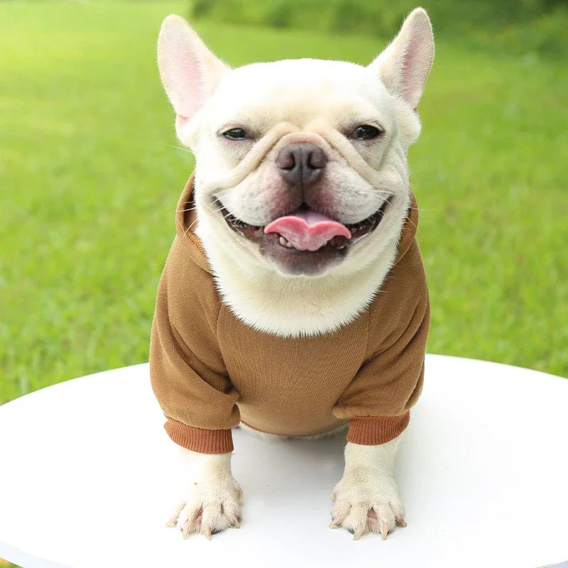 Warm Dog Hoodie | Pet Hoodie for Small Dogs (Soft & Comfortable)