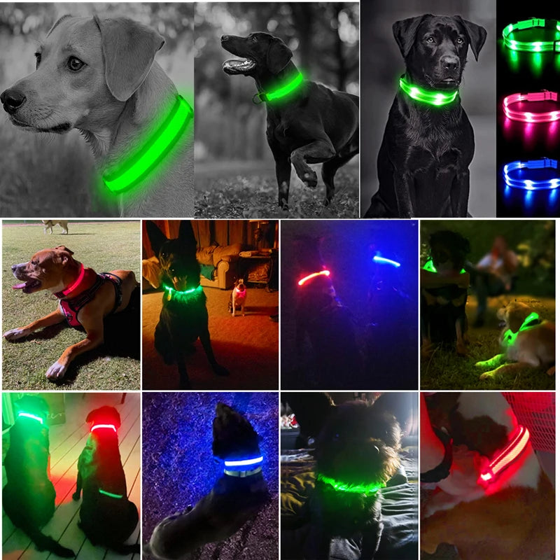 Luxury LED Dog Collar | USB Rechargeable Glow Light Safety Collar with Pendant
