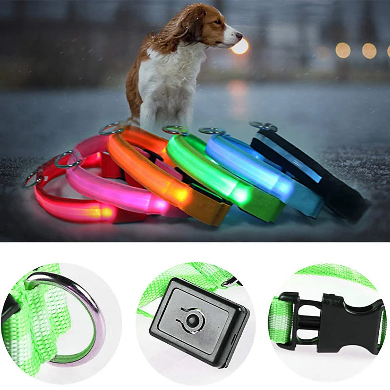 Luxury LED Dog Collar | USB Rechargeable Glow Light Safety Collar with Pendant