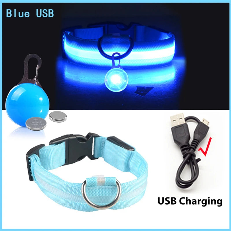 Luxury LED Dog Collar | USB Rechargeable Glow Light Safety Collar with Pendant