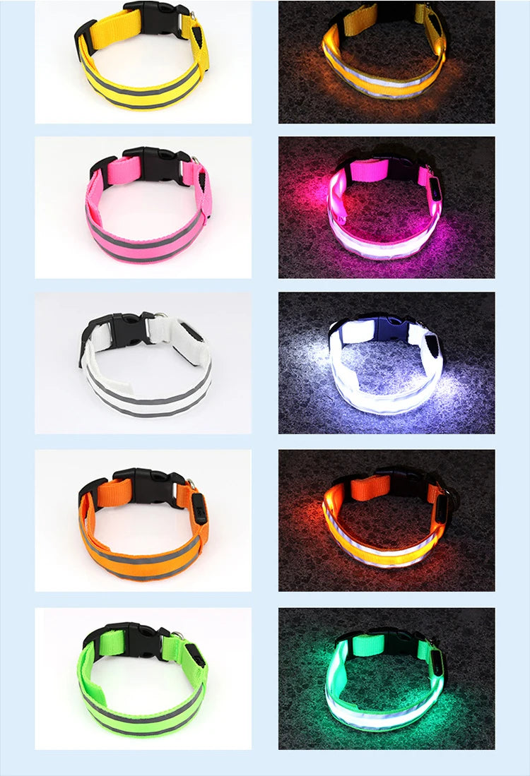 LED Dog Collar | Rechargeable Glow in the Dark Pet Safety Light Collar