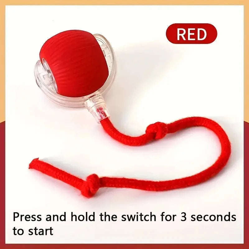 Automatic Pet Toy Ball | Rechargeable Interactive Rolling Ball for Cats & Dogs
