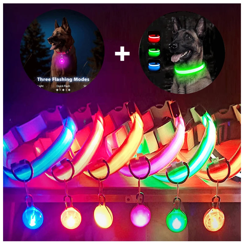 Luxury LED Dog Collar | USB Rechargeable Glow Light Safety Collar with Pendant