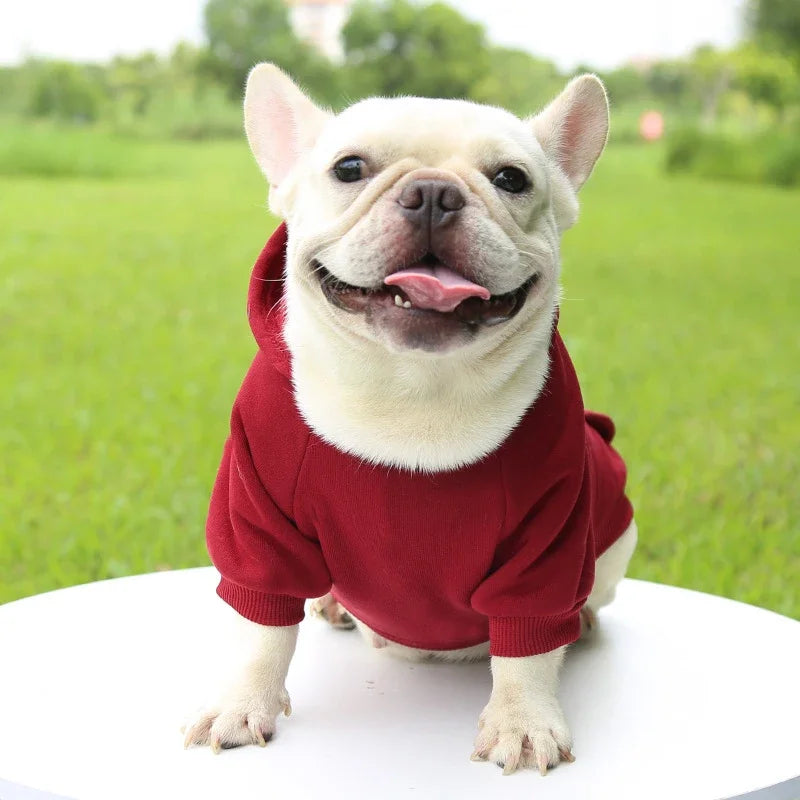 Warm Dog Hoodie | Pet Hoodie for Small Dogs (Soft & Comfortable)