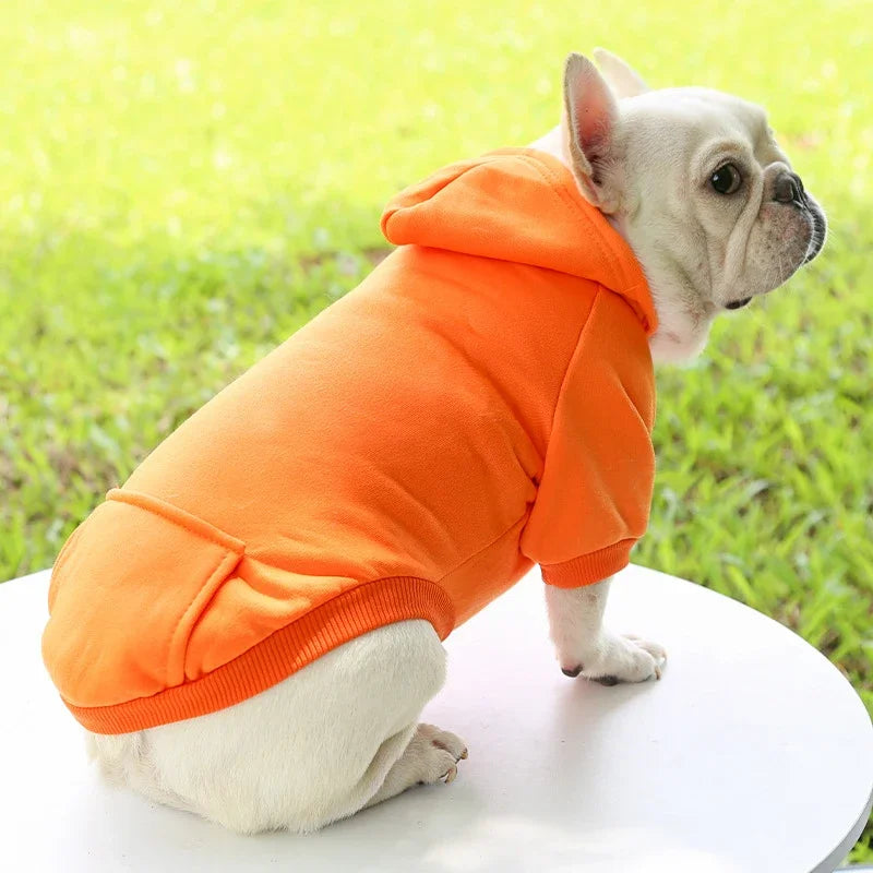 Warm Dog Hoodie | Pet Hoodie for Small Dogs (Soft & Comfortable)