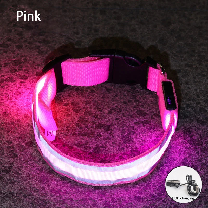 LED Dog Collar | Rechargeable Glow in the Dark Pet Safety Light Collar