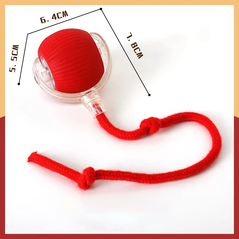 Automatic Pet Toy Ball | Rechargeable Interactive Rolling Ball for Cats & Dogs