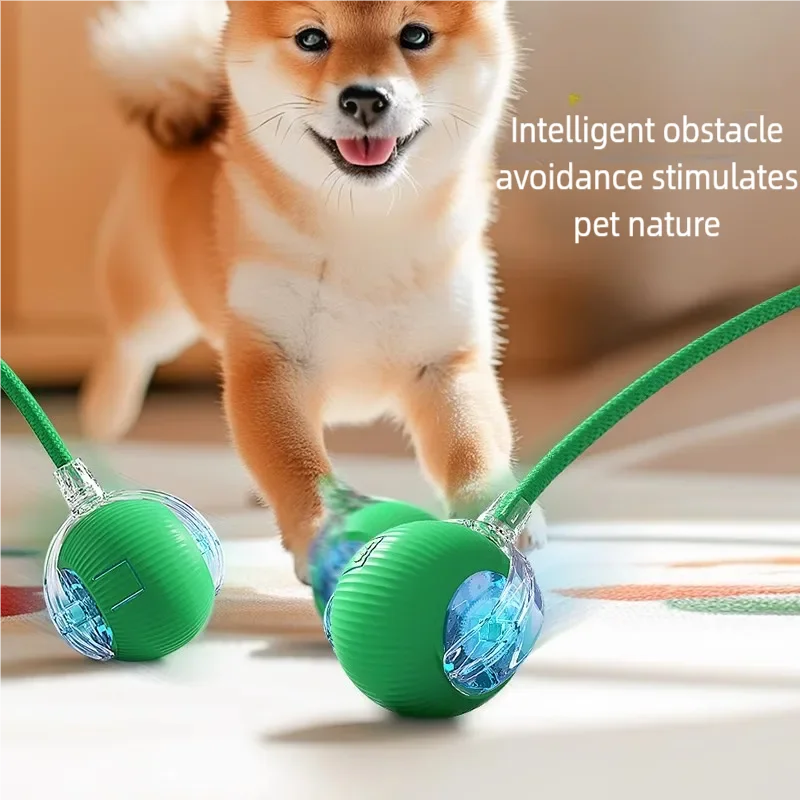 Automatic Pet Toy Ball | Rechargeable Interactive Rolling Ball for Cats & Dogs