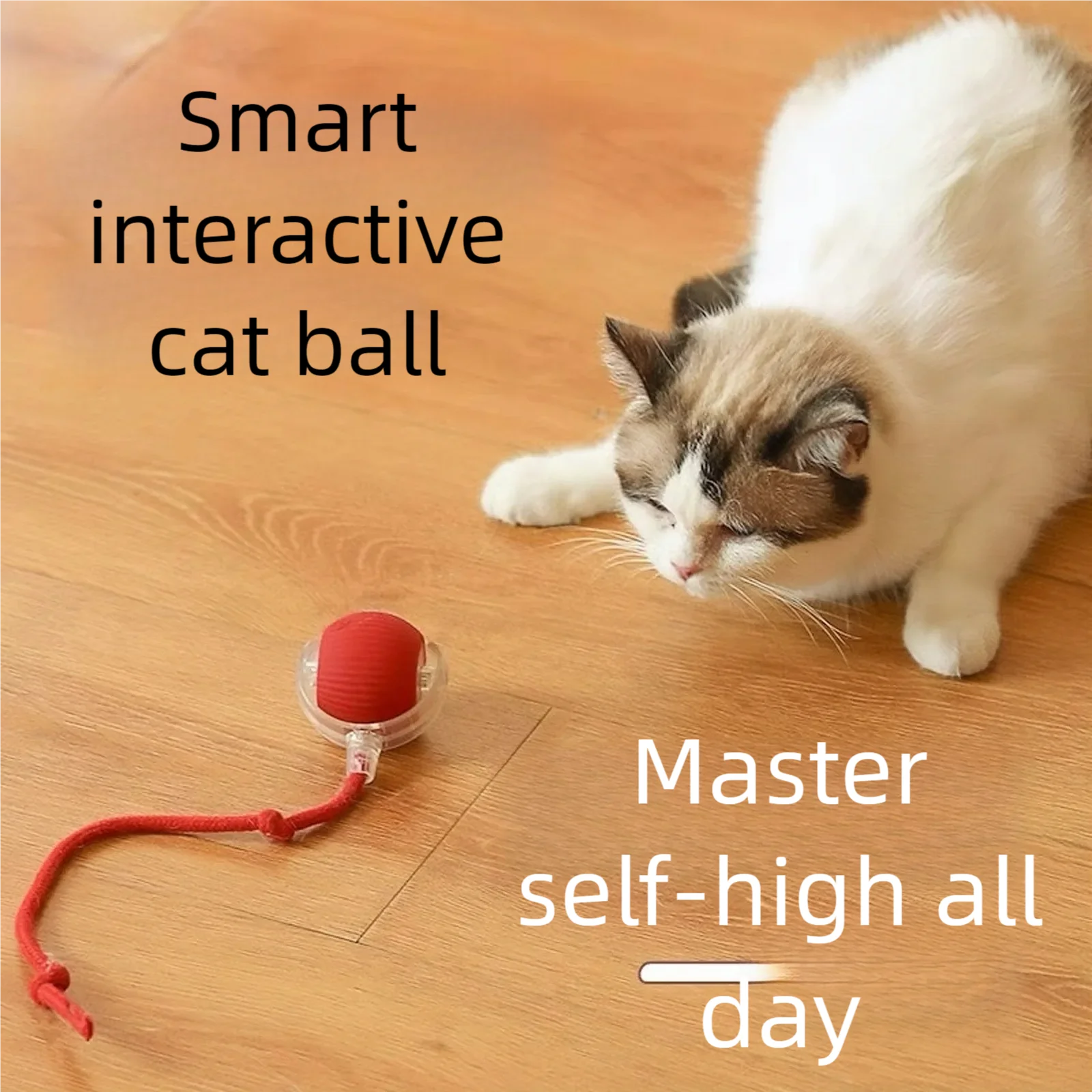 Automatic Pet Toy Ball | Rechargeable Interactive Rolling Ball for Cats & Dogs