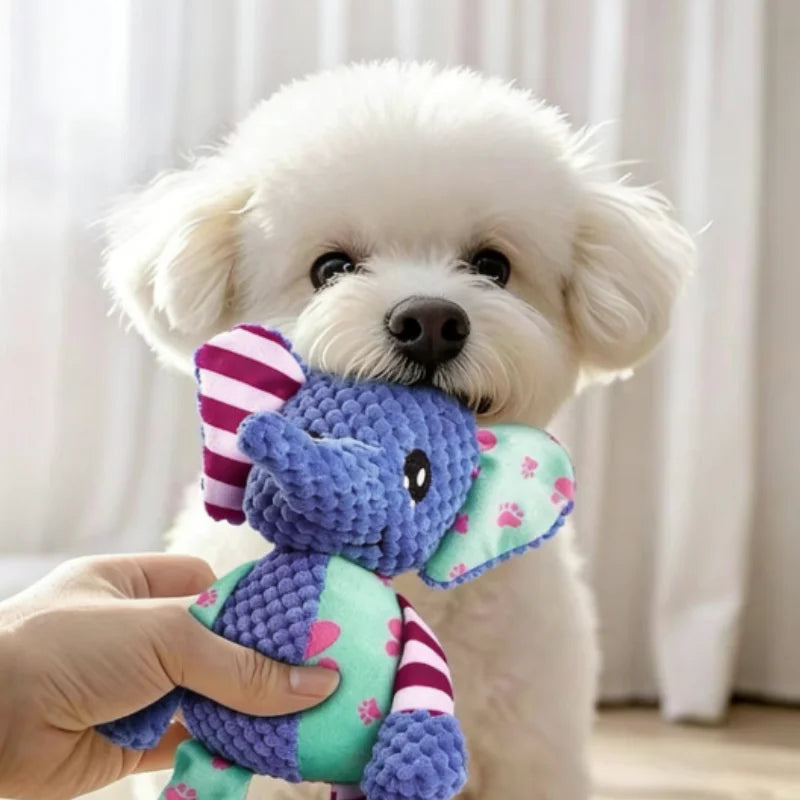 Small Dog Squeaky Toy | Plush Chew Toy for Puppies (Chihuahua, Yorkie, Bichon)