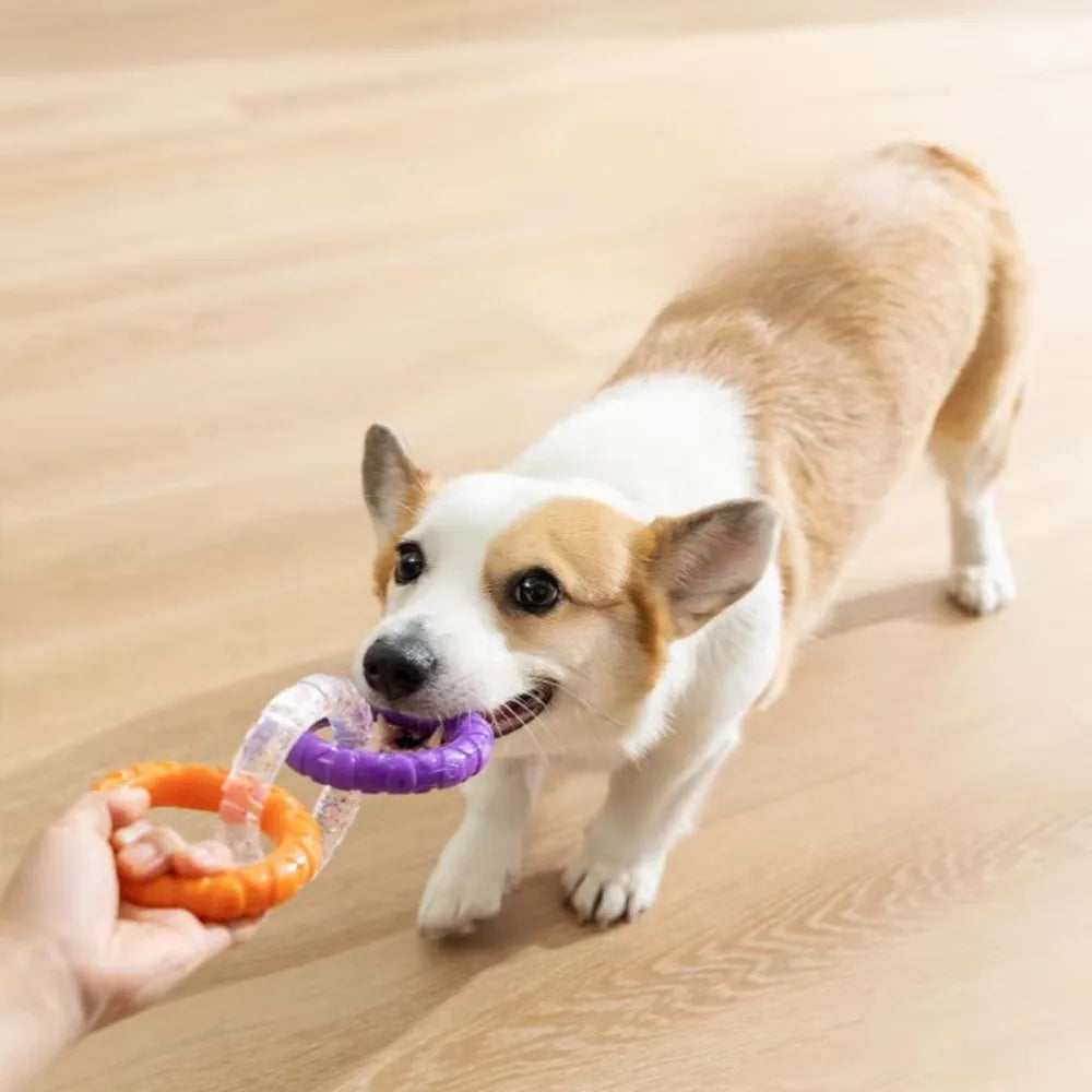Dog Fetch Stick Launcher Toy | Interactive Ball Throwing Training Toy for Dogs & Cats
