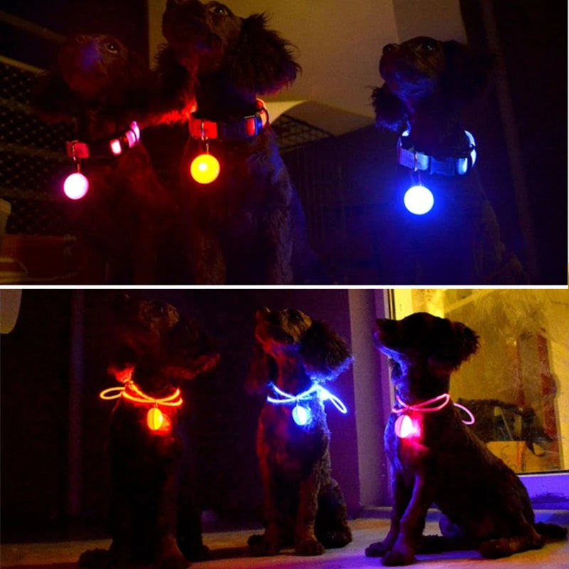 Luxury LED Dog Collar | USB Rechargeable Glow Light Safety Collar with Pendant