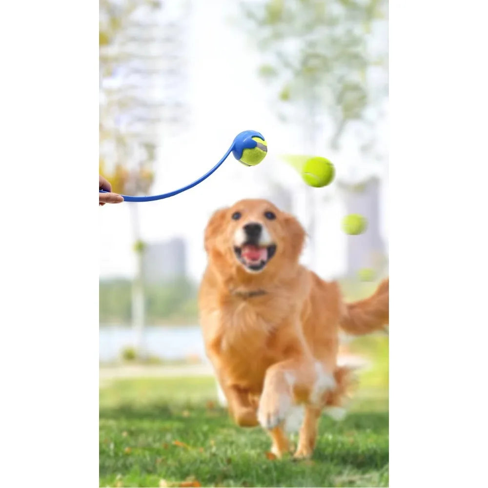 Dog Fetch Stick Launcher Toy | Interactive Ball Throwing Training Toy for Dogs & Cats