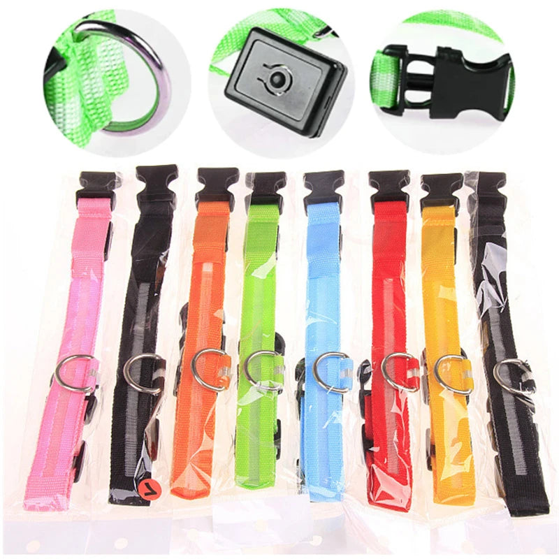 Luxury LED Dog Collar | USB Rechargeable Glow Light Safety Collar with Pendant