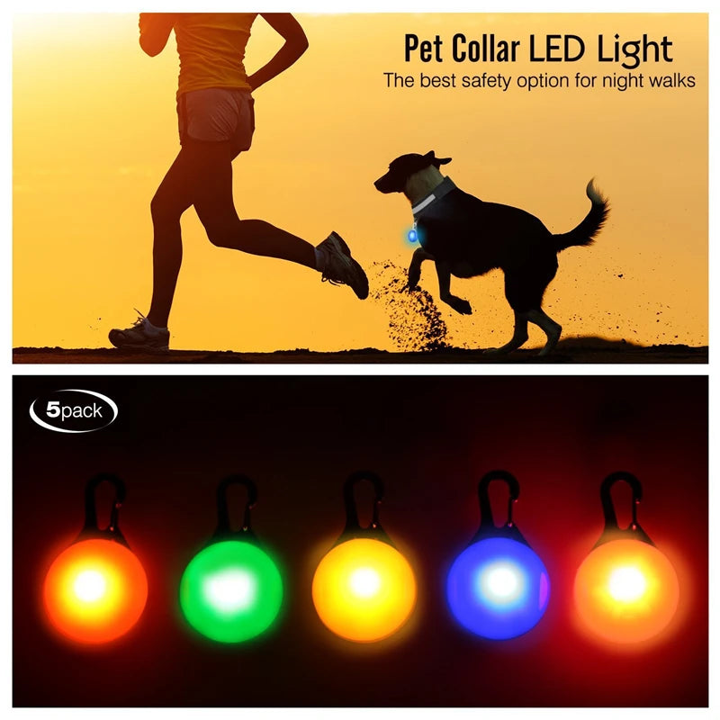 Luxury LED Dog Collar | USB Rechargeable Glow Light Safety Collar with Pendant