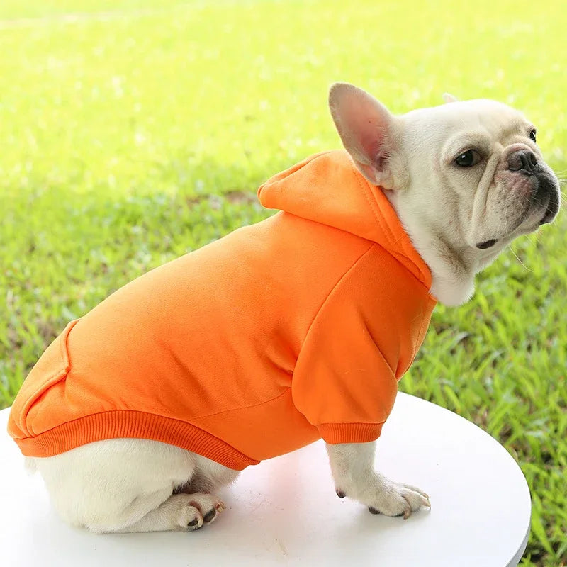 Warm Dog Hoodie | Pet Hoodie for Small Dogs (Soft & Comfortable)