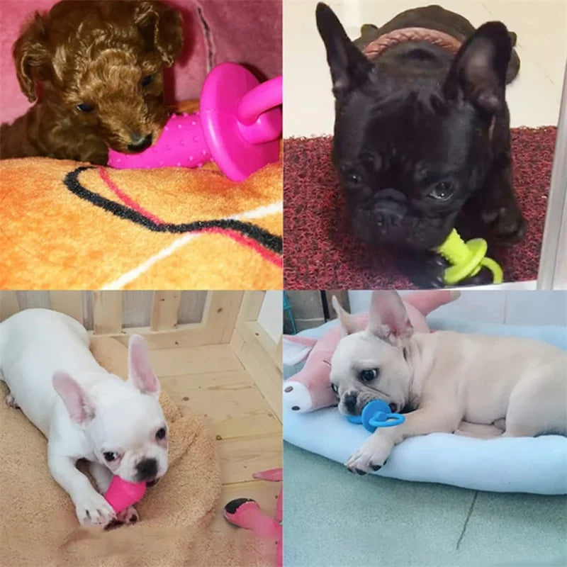 Dog Chew Pacifier Toy | Interactive Rubber Dental Cleaning Toy for Puppies & Dogs