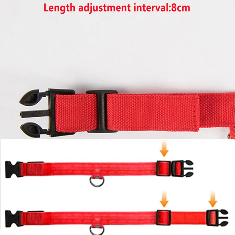 Luxury LED Dog Collar | USB Rechargeable Glow Light Safety Collar with Pendant