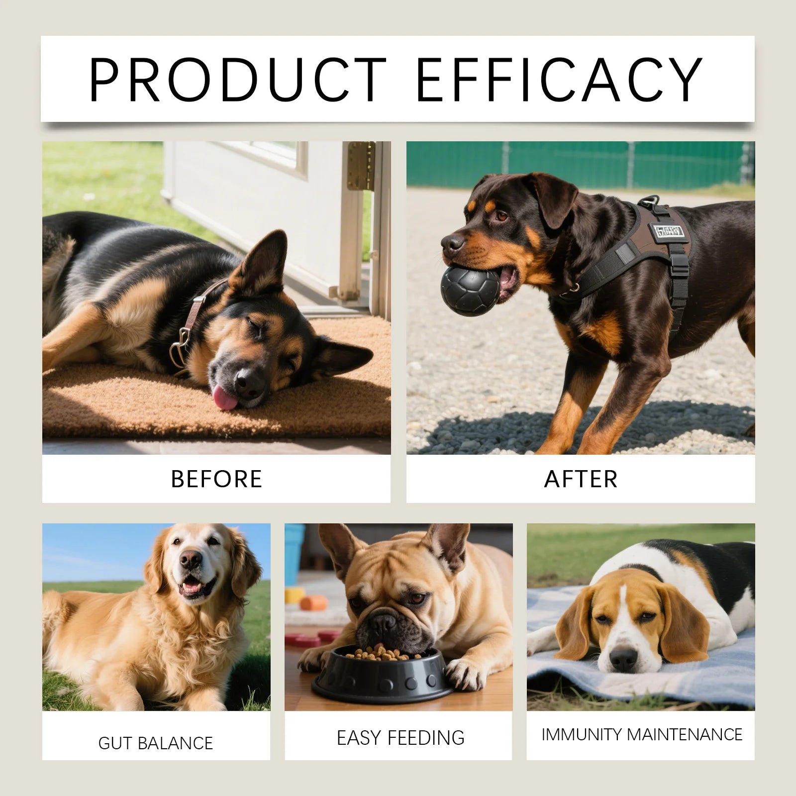 Dog Multivitamin Chews | Daily Immunity & Coat Support Supplement with Turmeric