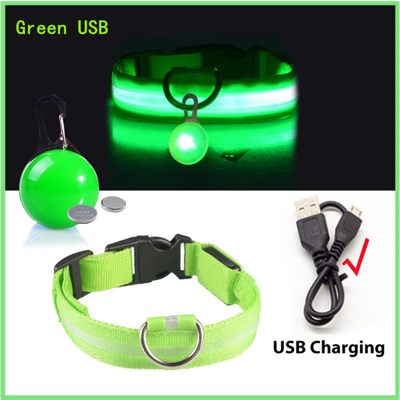 Luxury LED Dog Collar | USB Rechargeable Glow Light Safety Collar with Pendant