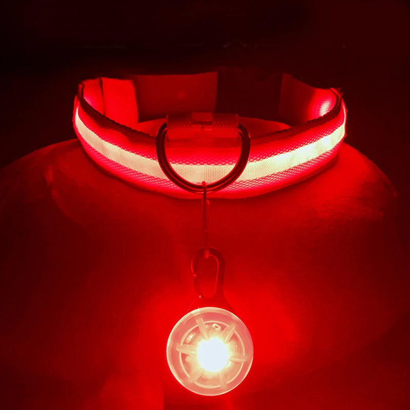 Luxury LED Dog Collar | USB Rechargeable Glow Light Safety Collar with Pendant
