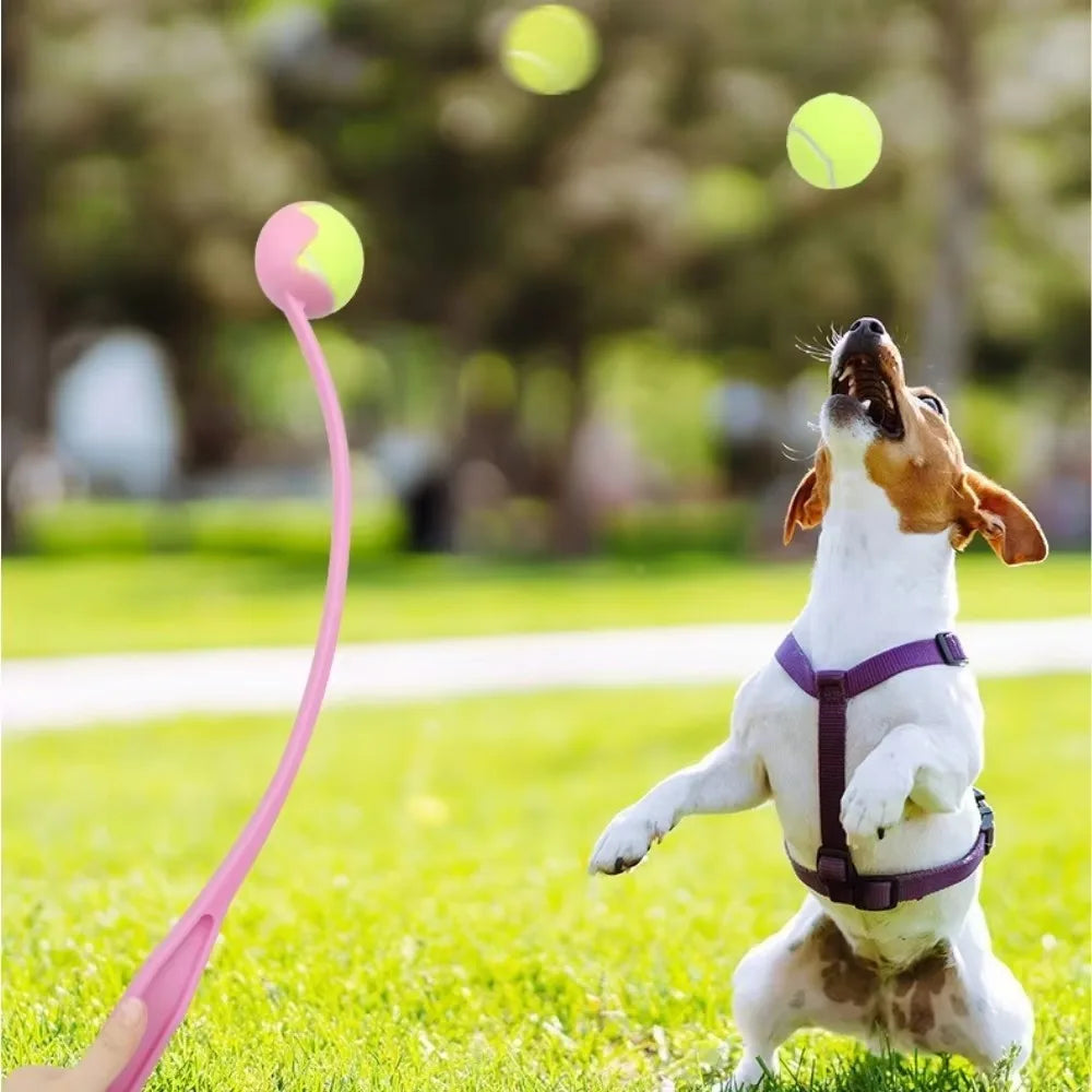 Dog Fetch Stick Launcher Toy | Interactive Ball Throwing Training Toy for Dogs & Cats