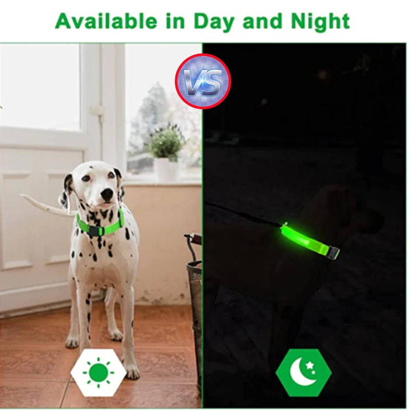 Luxury LED Dog Collar | USB Rechargeable Glow Light Safety Collar with Pendant