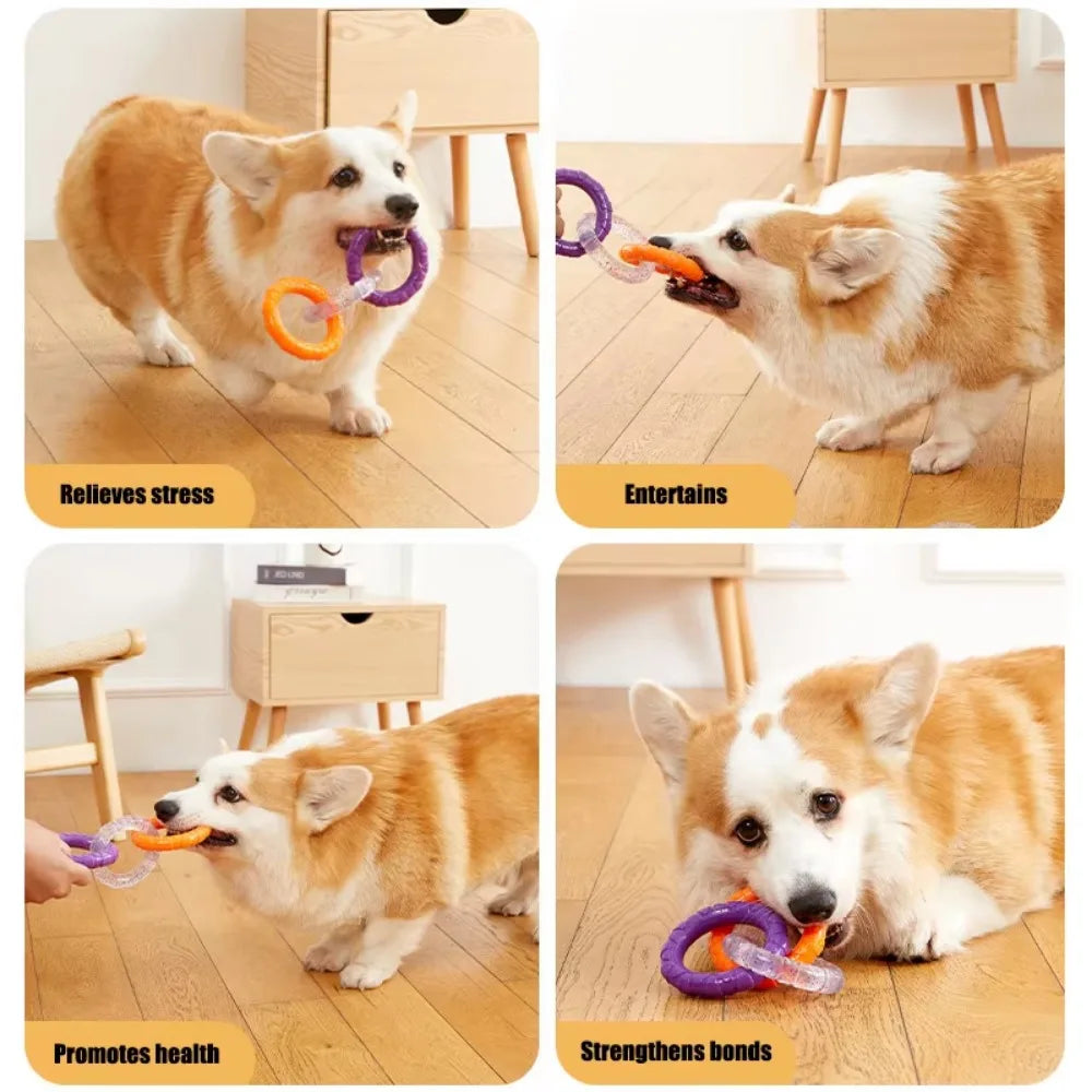 Dog Fetch Stick Launcher Toy | Interactive Ball Throwing Training Toy for Dogs & Cats