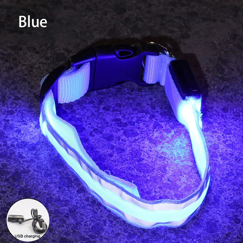 LED Dog Collar | Rechargeable Glow in the Dark Pet Safety Light Collar