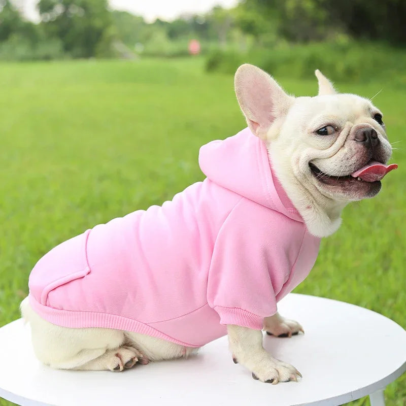 Warm Dog Hoodie | Pet Hoodie for Small Dogs (Soft & Comfortable)