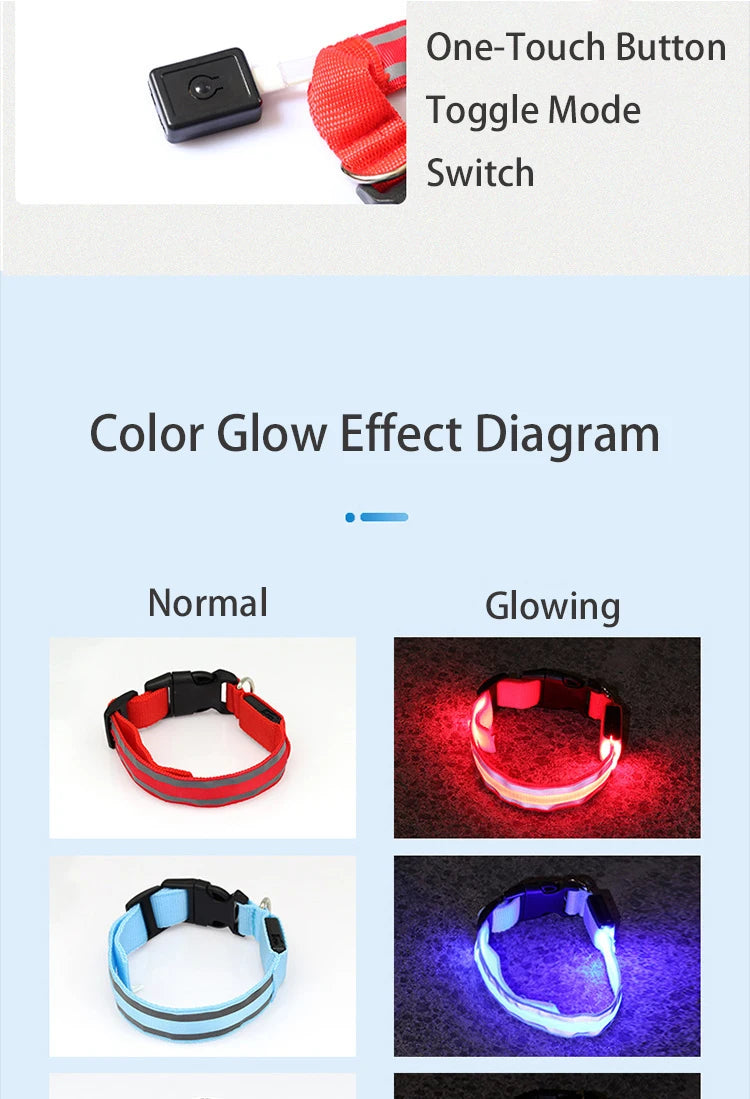 LED Dog Collar | Rechargeable Glow in the Dark Pet Safety Light Collar