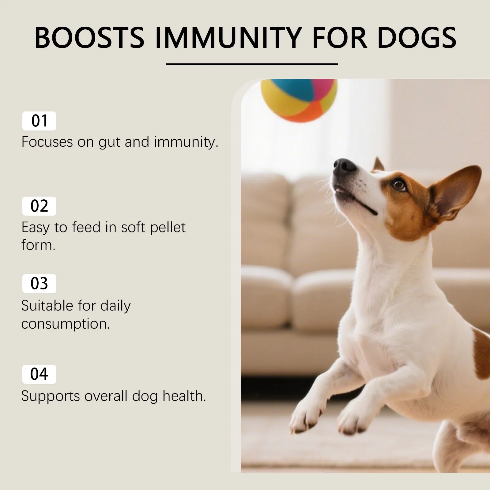 Dog Multivitamin Chews | Daily Immunity & Coat Support Supplement with Turmeric