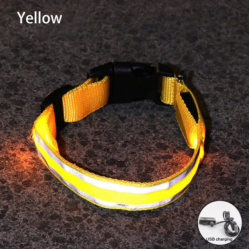 LED Dog Collar | Rechargeable Glow in the Dark Pet Safety Light Collar