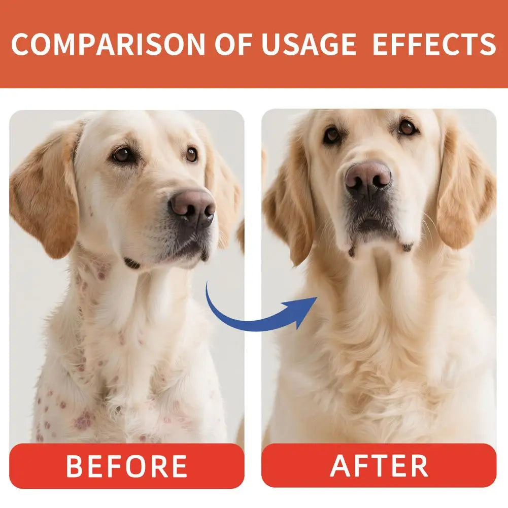 40g Dog Digestive Support Powder | Natural Gut Health Supplement for Dogs & Cats