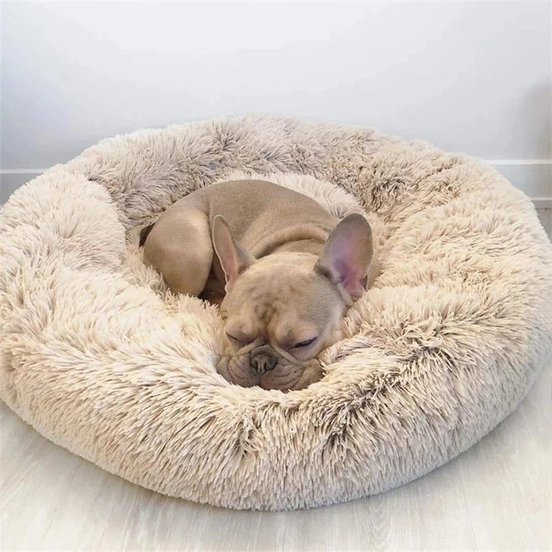 Calming Donut Dog Bed | Super Soft Plush Pet Bed for Small, Medium & Large Dogs