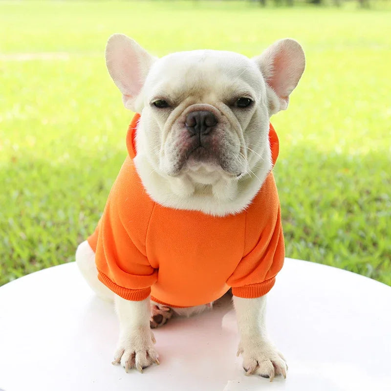 Warm Dog Hoodie | Pet Hoodie for Small Dogs (Soft & Comfortable)