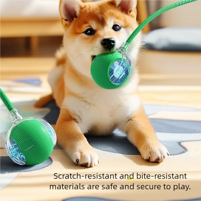 Automatic Pet Toy Ball | Rechargeable Interactive Rolling Ball for Cats & Dogs